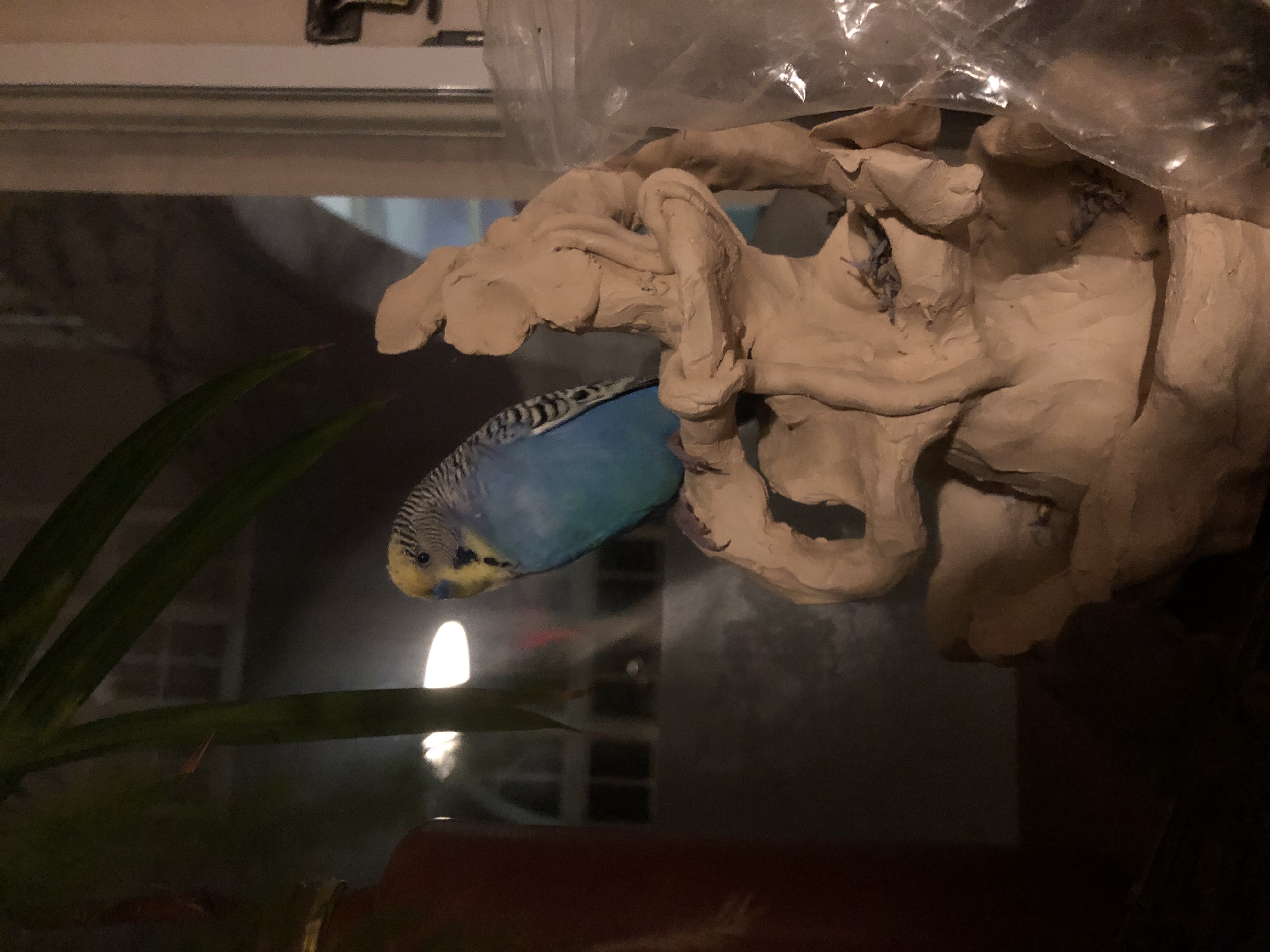 making clay furniture for my pet bird